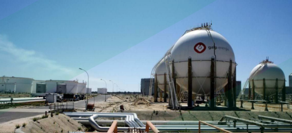 Screenshot 2026-01-29 095914