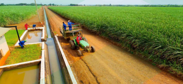 Screenshot 2026-01-29 100851