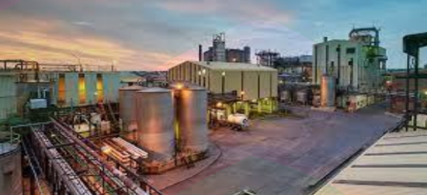 Screenshot 2026-01-29 101516